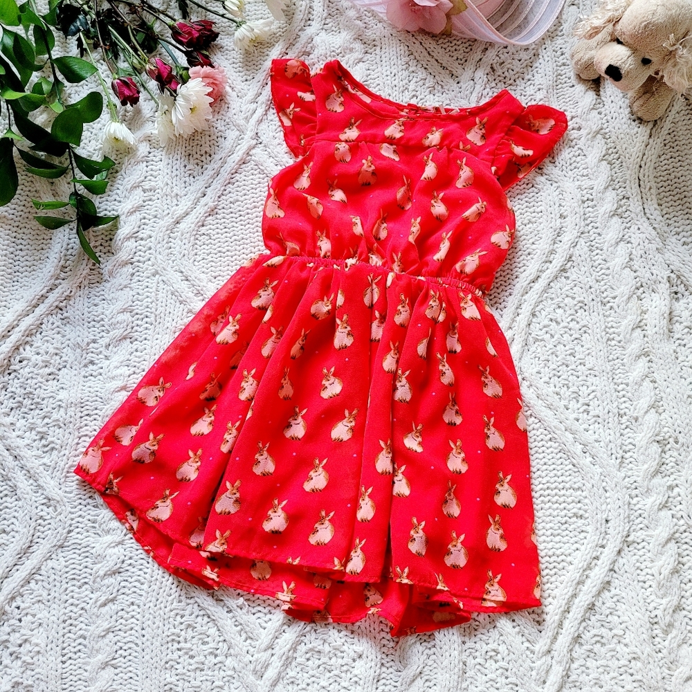 Scooter Brown Bunny Day Dress